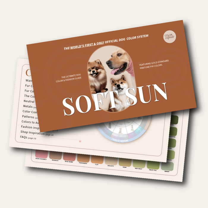 Soft Sun Color Guide